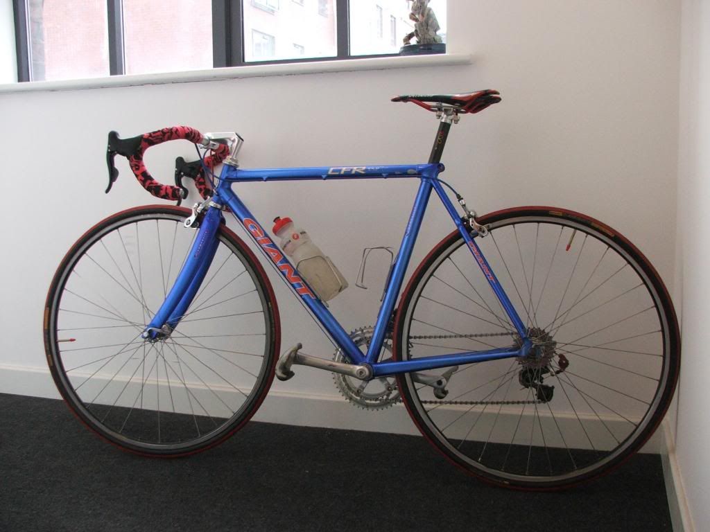 giant cfr pro